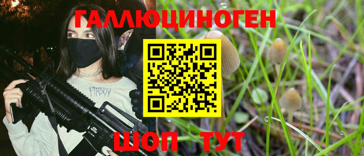 Галлюциногенные грибы мицелий  Вход с VPN  Кореновск 
